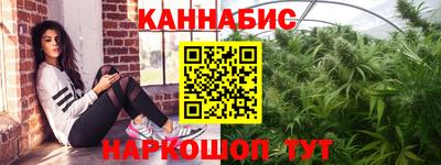 амф Гай