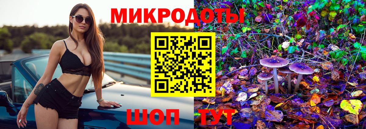 Галлюциногенные грибы Psilocybine cubensis Калач-на-Дону