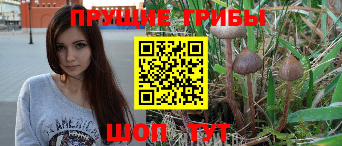Калач-на-Дону  Галлюциногенные грибы мицелий  Вход с VPN 
